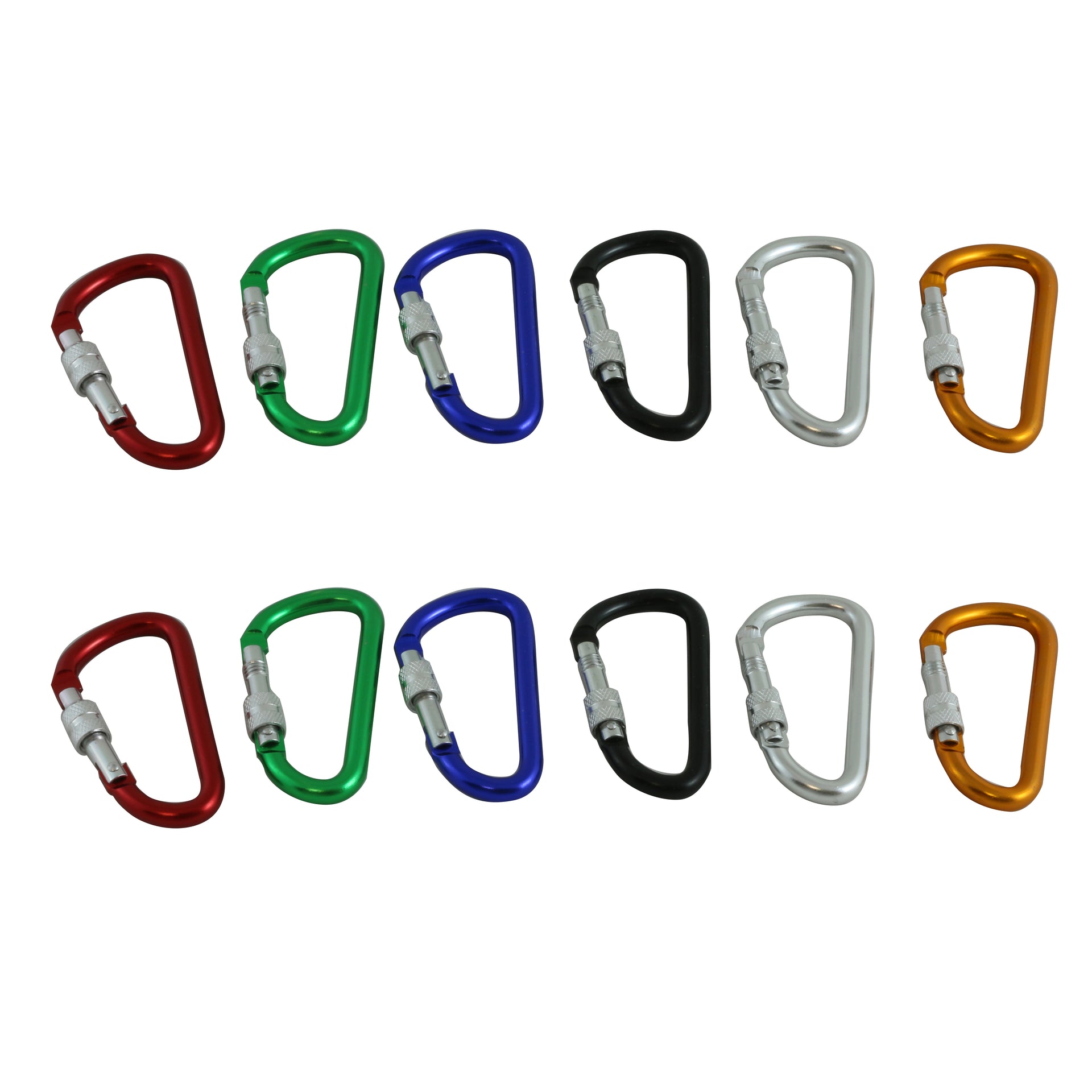 12PCS Carabiner Hook Keychain with Lock – JZ Wholesale