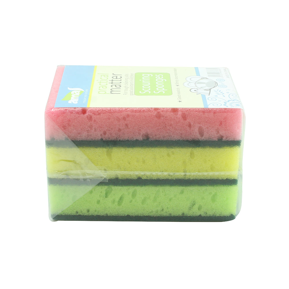 3PC Dish Sponges